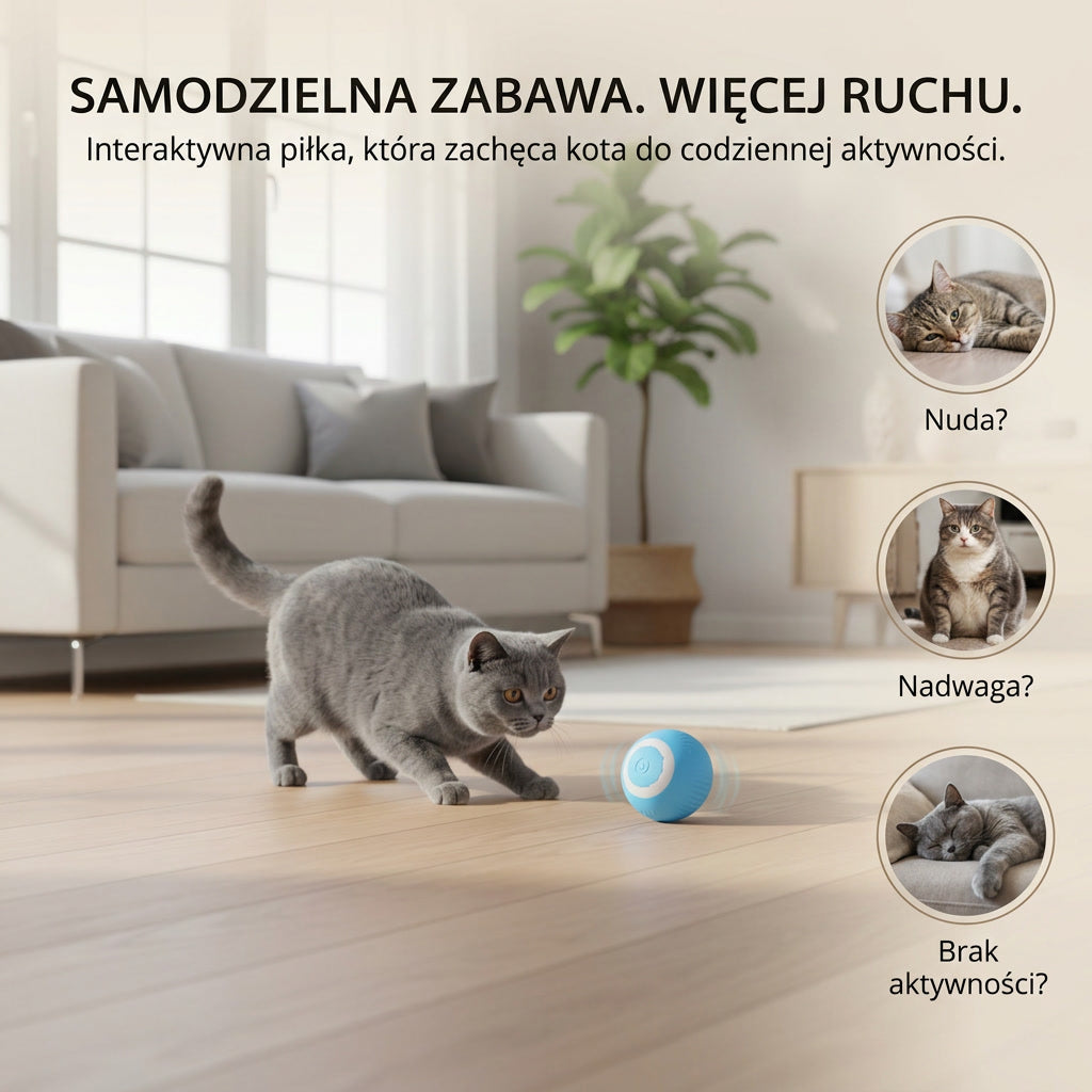 Interaktywna Piłka Aktywności dla Kota