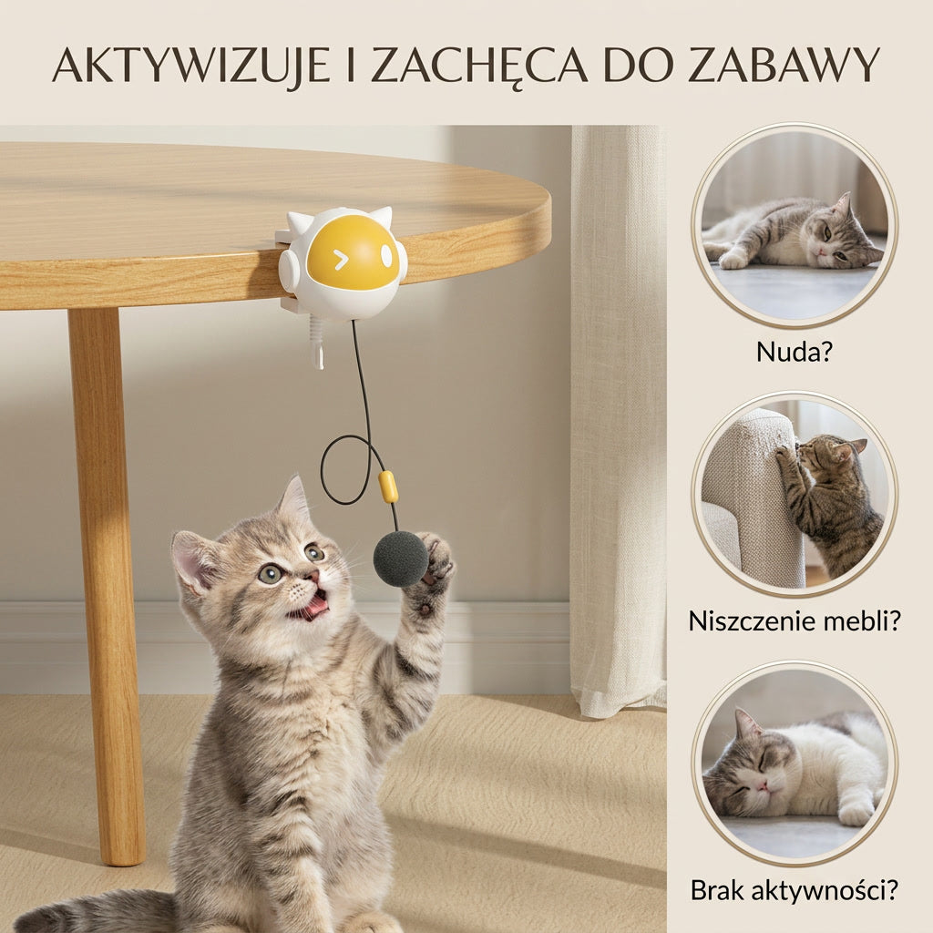 Interaktywna Piłeczka dla Kota